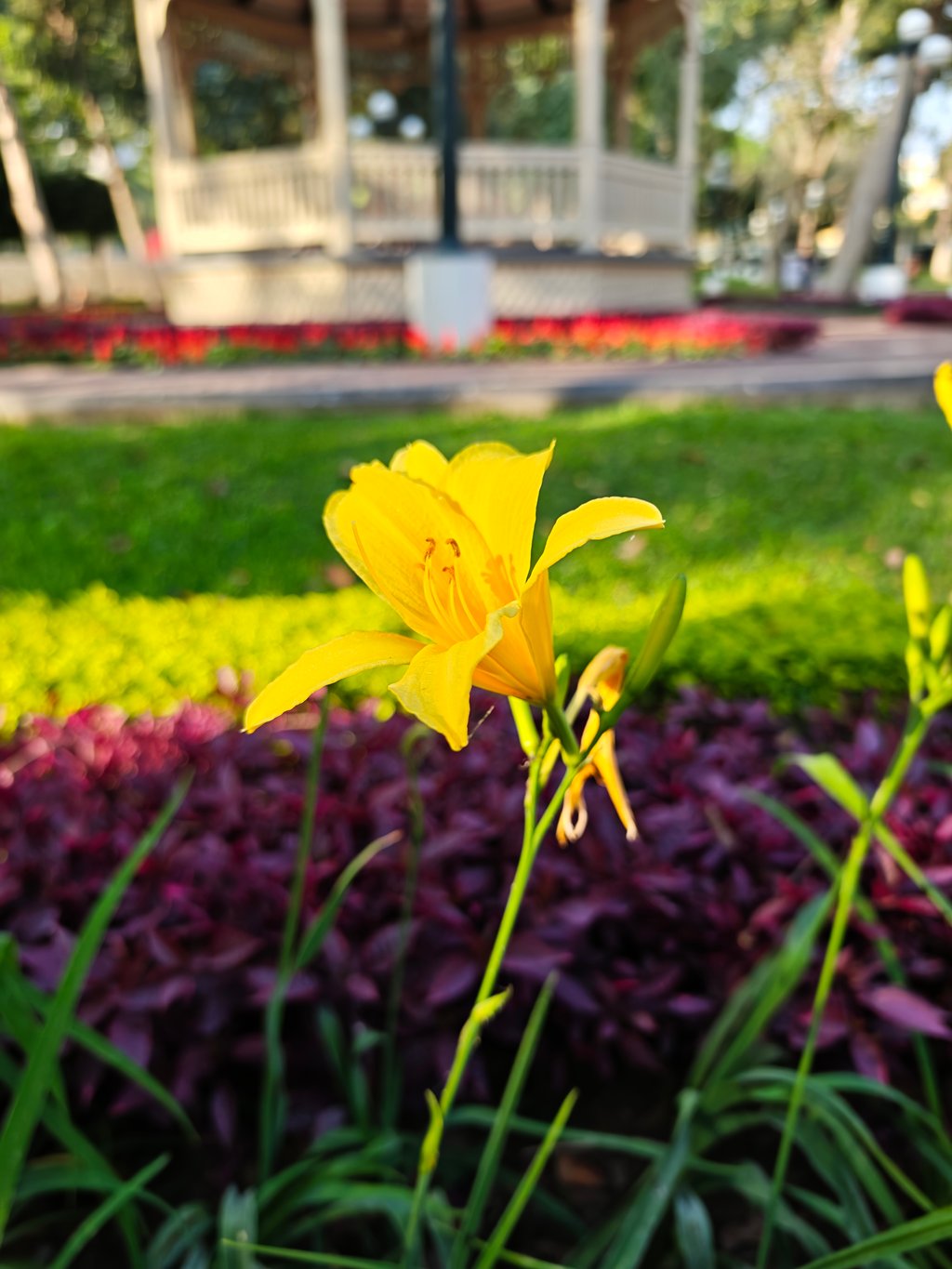 Foto tomada con Xiaomi 17 Ultra