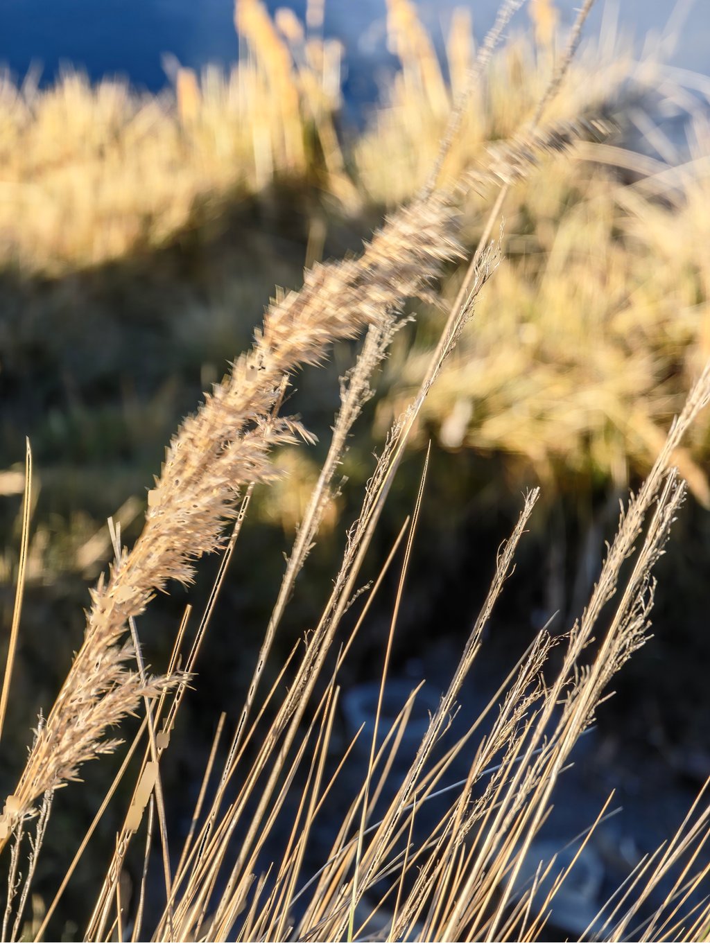 Foto tomada con Xiaomi 17 Ultra