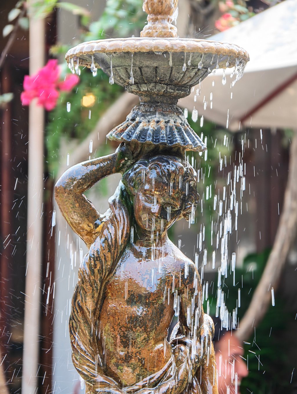 Foto tomada con Honor Magic8 Pro