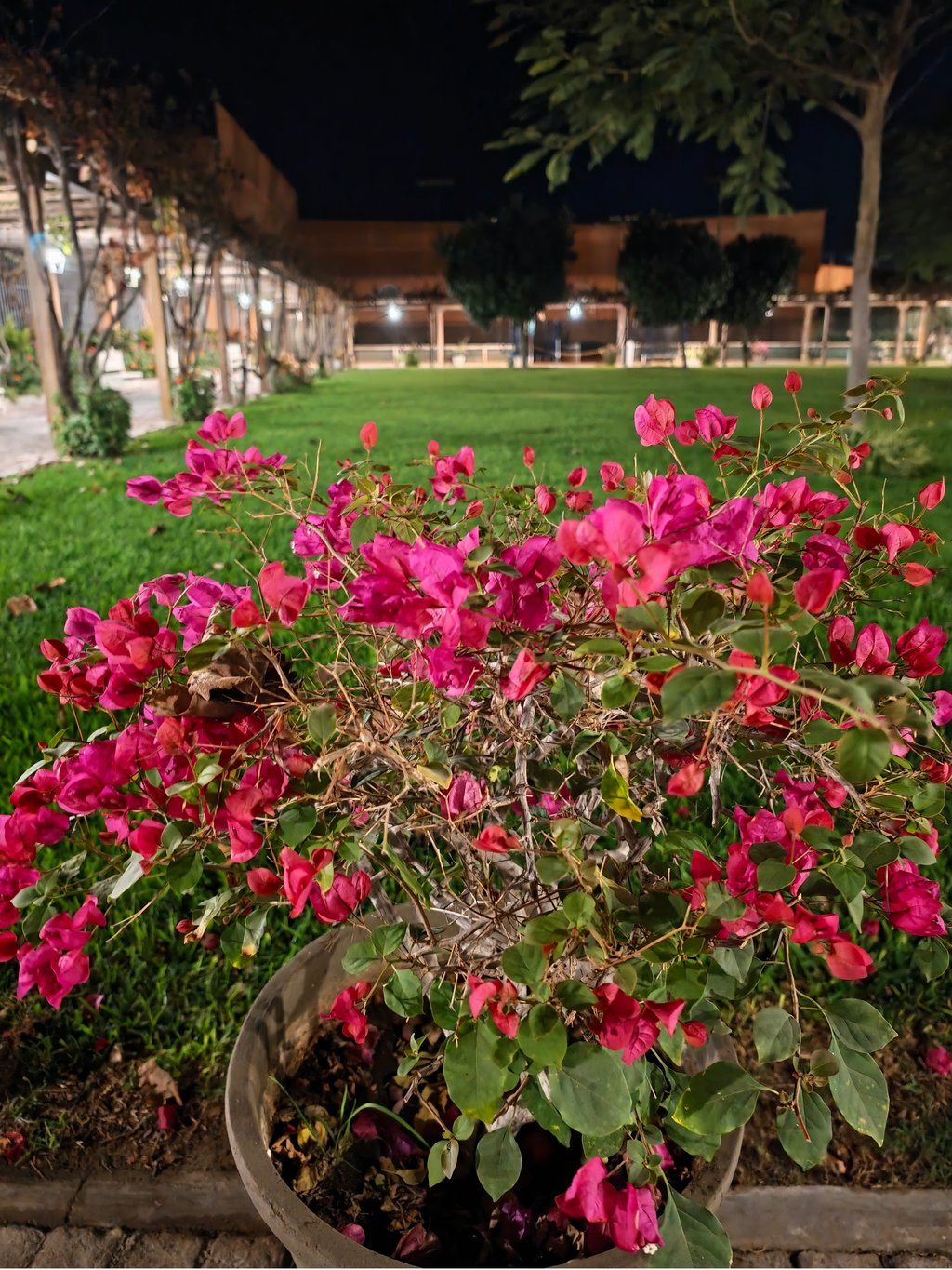 Foto tomada con Oppo Find X9 Ultra