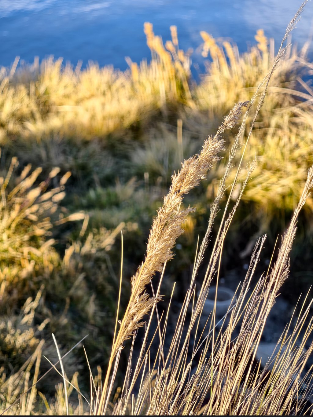 Foto tomada con Vivo X300 Ultra