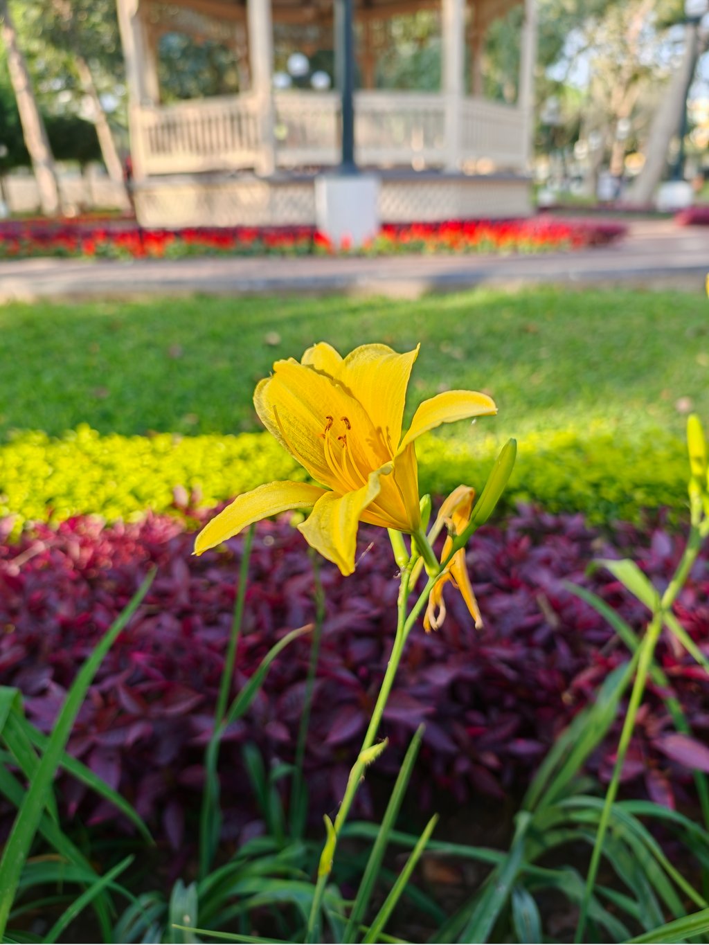 Foto tomada con Oppo Find X9 Ultra