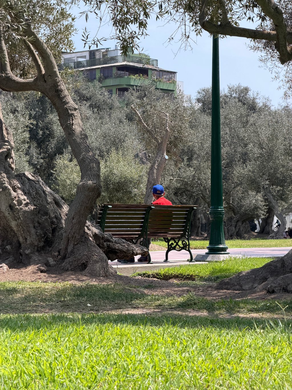 Foto tomada con Apple iPhone 17 Pro Max