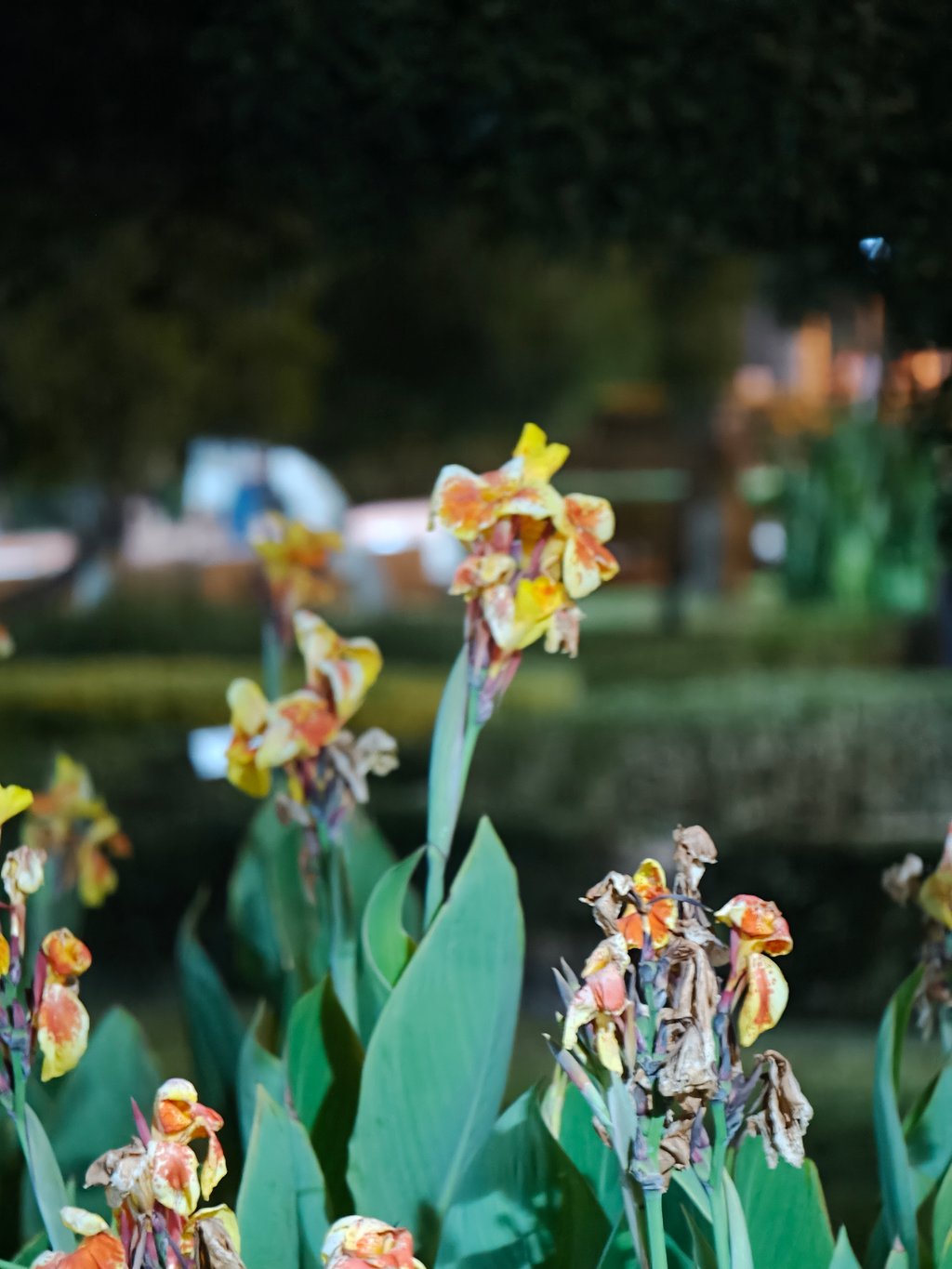 Foto tomada con Oppo Find X9 Pro