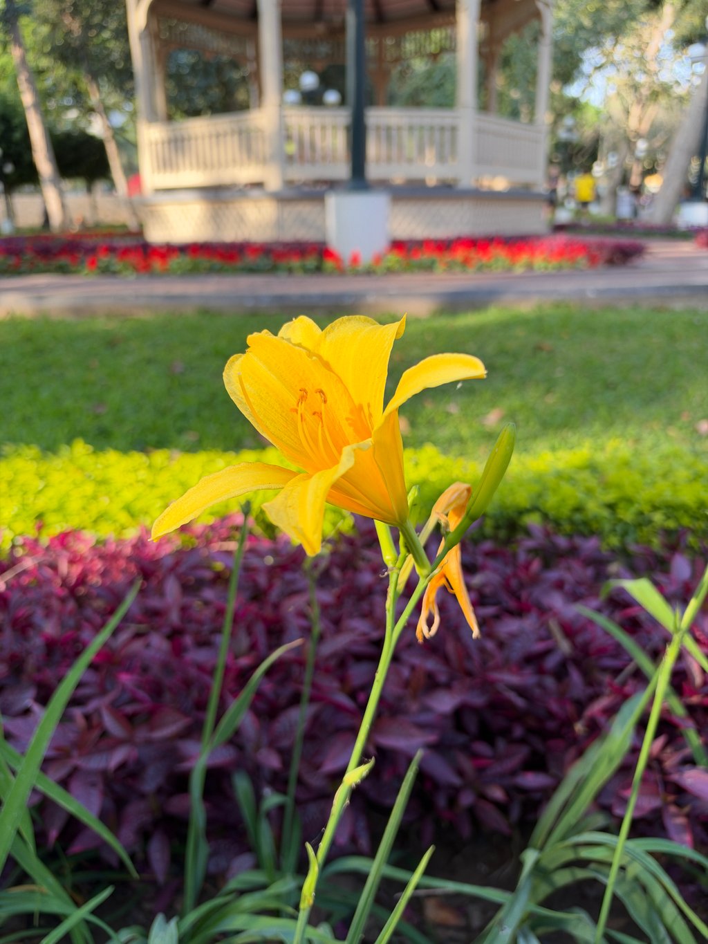 Foto tomada con Apple iPhone 18 Pro Max